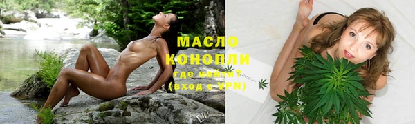 индика Нягань