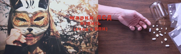 таблы Няндома