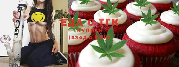индика Нягань