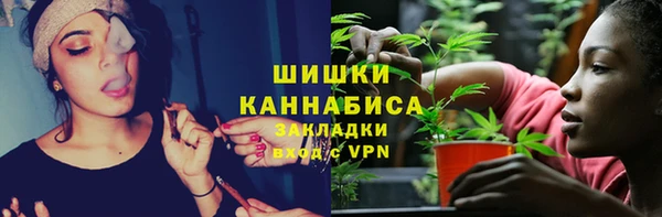 spice Новодвинск