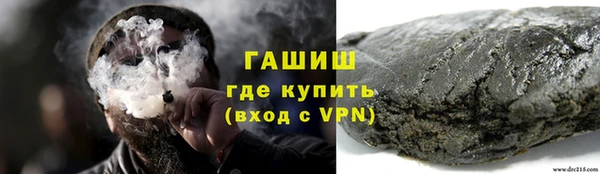 индика Нягань