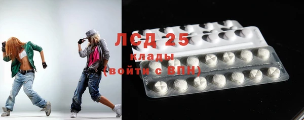 spice Новодвинск