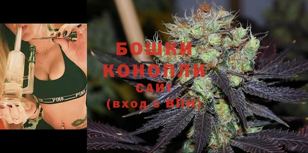 spice Новодвинск