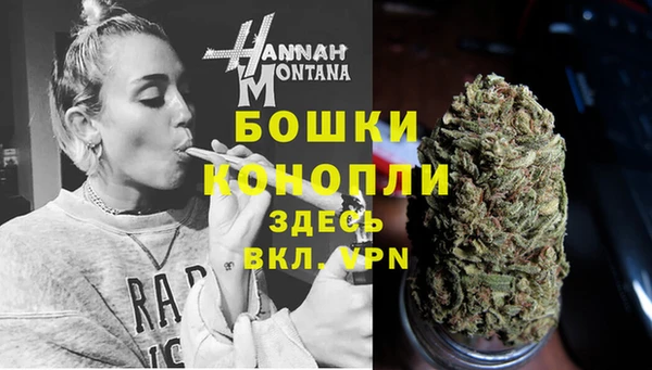 индика Нягань