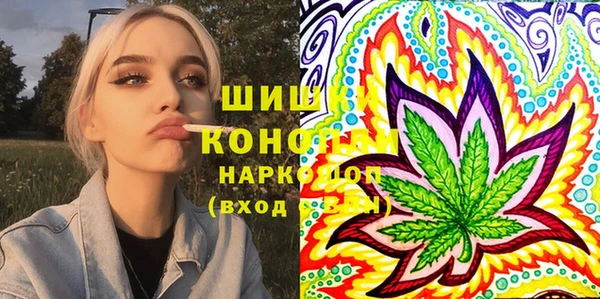 индика Нягань