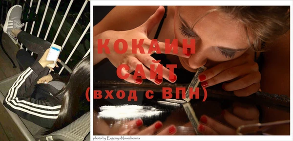 таблы Няндома