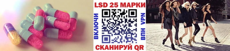 LSD-25 экстази ecstasy  ОМГ ОМГ рабочий сайт  Прохладный  купить наркоту 