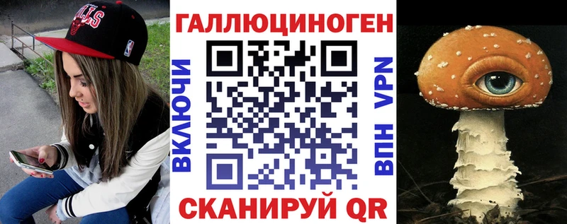 закладка  Прохладный  Псилоцибиновые грибы GOLDEN TEACHER 