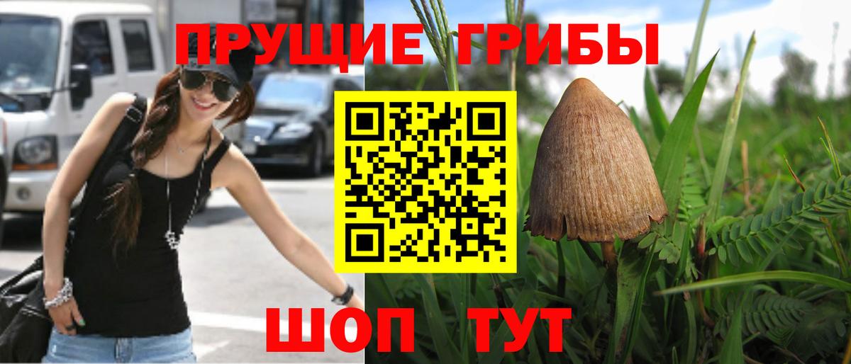 Бошки Шишки  Вход с VPN  Экстази  Прохладный  ГАШИШ  Мефедрон кристаллы  Кокаин  КОКАИН  Меф МЯУ МЯУ 