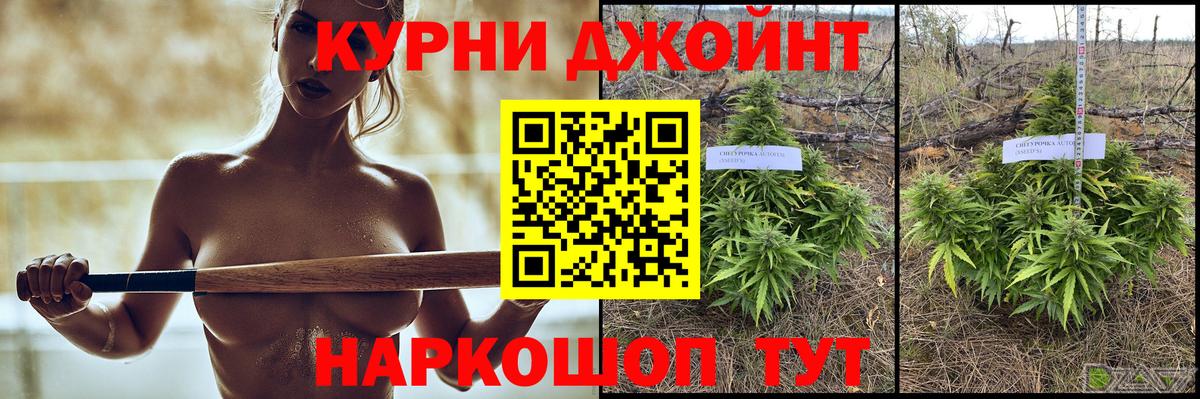 Каннабис семена Прохладный